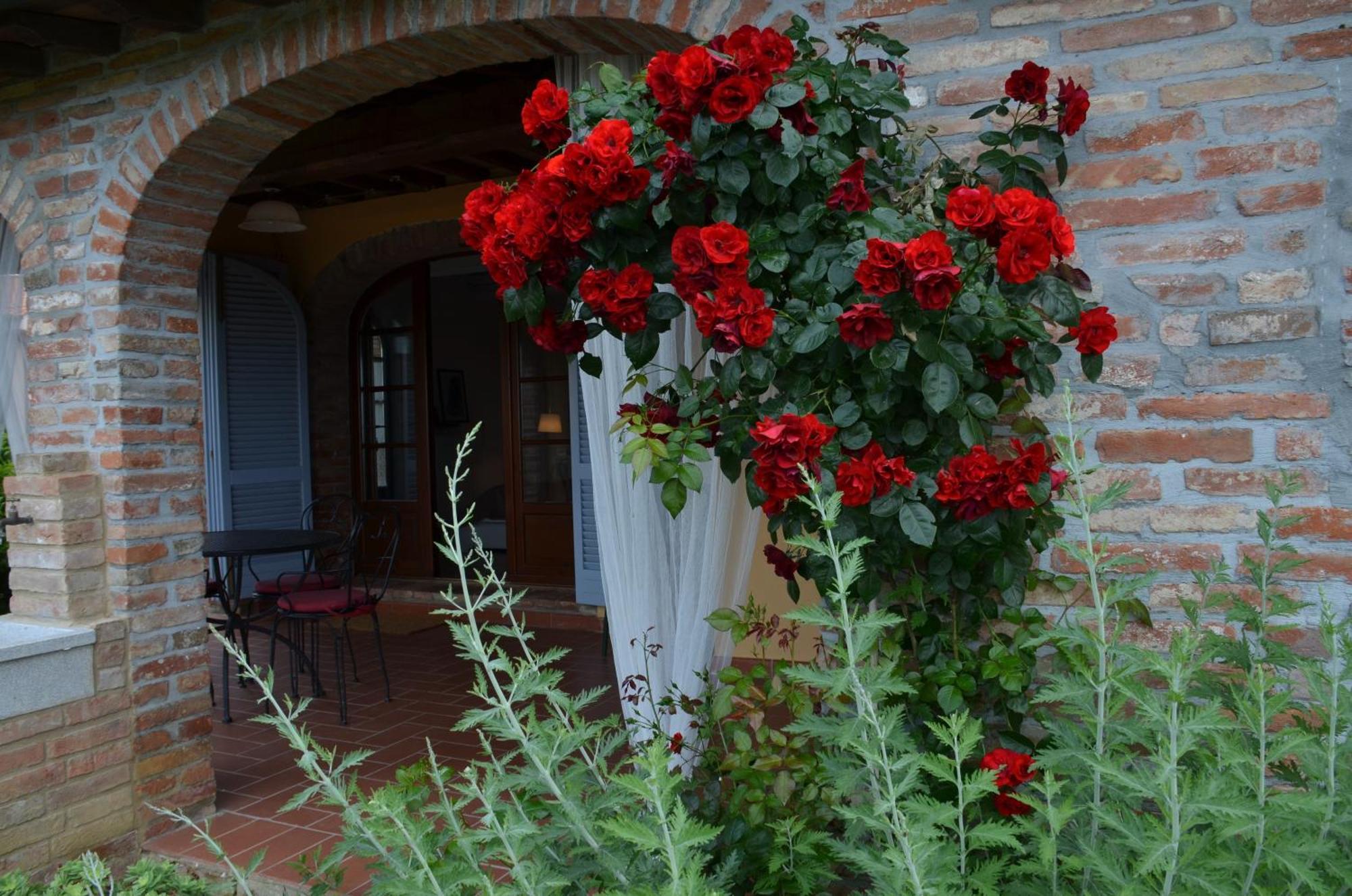 Casa Magnolia Apartment Terricciola Bagian luar foto